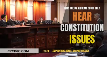 Supreme Court's Jurisdiction: Beyond Constitutional Issues