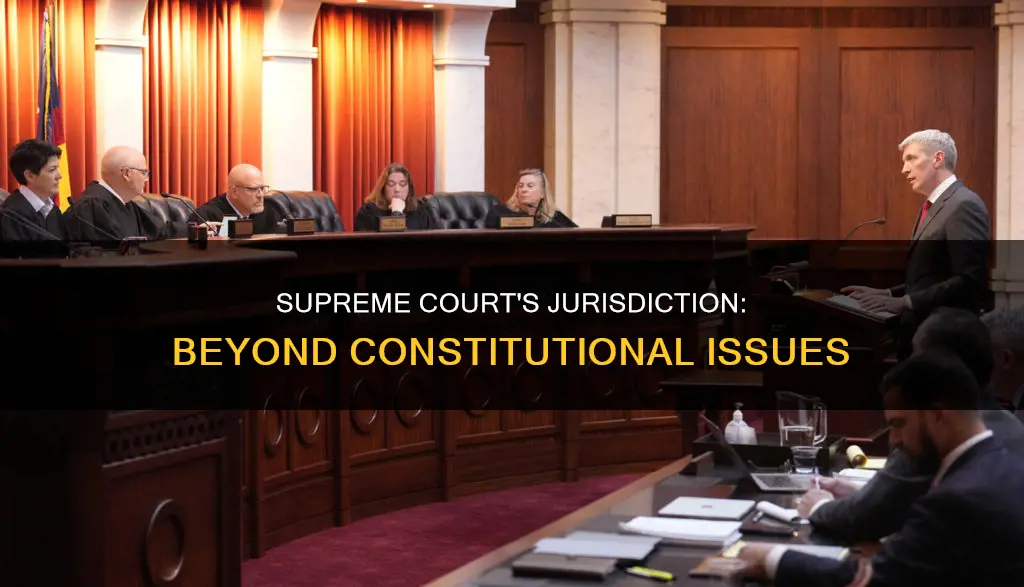 does the us supreme court only hear constitutional issues