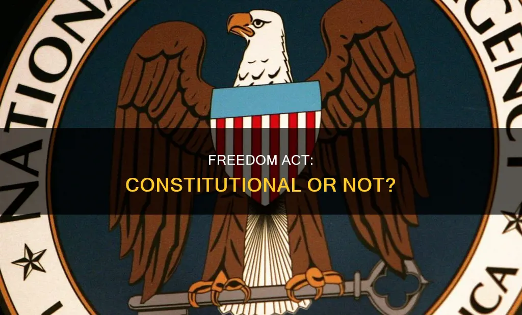 does the usa freedom act violate the constitution