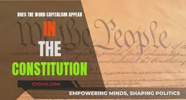 The Constitution and Capitalism: A Direct Connection?