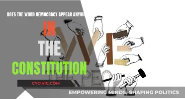 The Democracy Conundrum in the Constitution