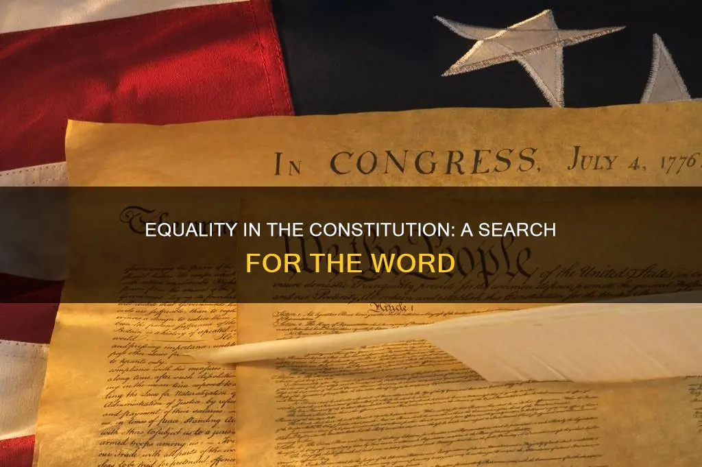 does the word equality appear anywhere in the constitution