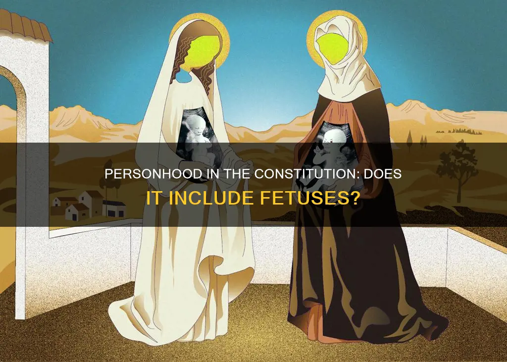 does the word person apply to fetuses in constitution