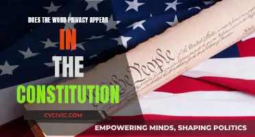 The Constitution and Privacy: What's the Connection?