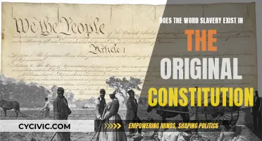 The Constitution and Slavery: A Historical Inquiry