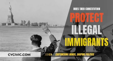 The Constitution: A Shield for Illegal Immigrants?