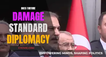 Torture's Impact: Diplomacy's Dark Side?