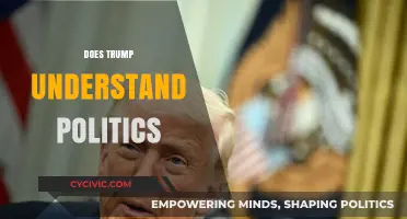 Does Trump Truly Grasp Political Nuances? A Critical Analysis