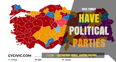 Exploring Turkey's Political Landscape: Do Parties Shape Its Democracy?