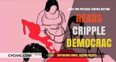 Polarized Politics: How Two-Party Conflict Undermines Democratic Progress