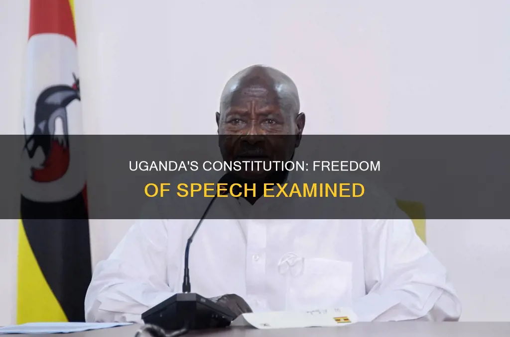 does uganda have freedom of speech in the constitution