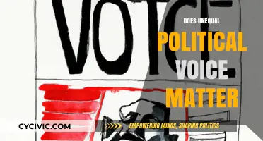 Unequal Political Voice: Does It Shape Democracy and Policy Outcomes?