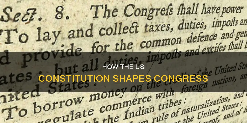 does us constitution establish rules for house and senate