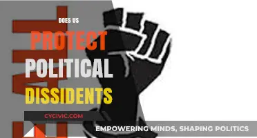 Does the U.S. Safeguard Political Dissidents? A Critical Analysis