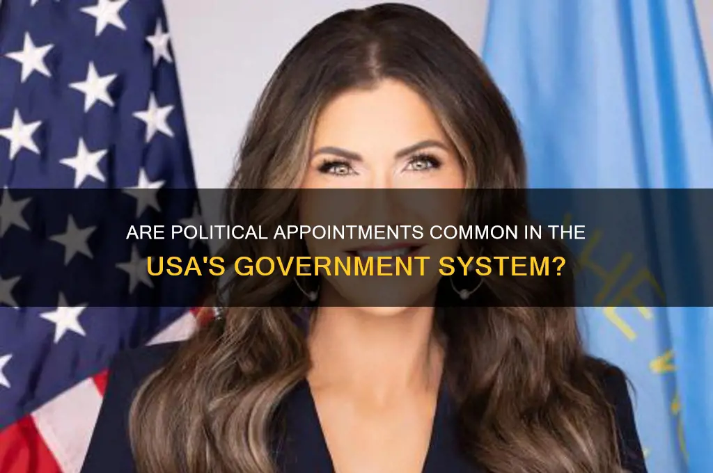 does usa house political appointments