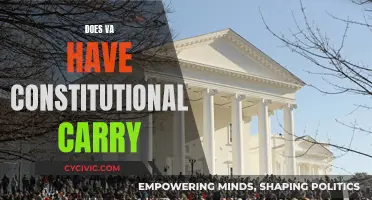 Virginia's Constitutional Carry: What's the Law?