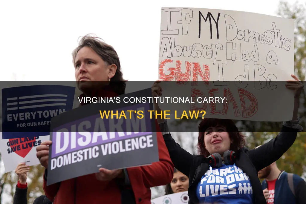 does va have constitutional carry