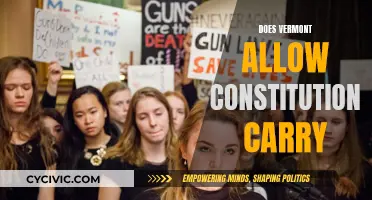 Vermont's Gun Laws: Constitutional Carry and Beyond