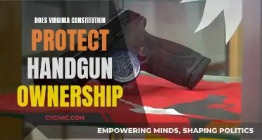 Virginia Constitution: Handgun Ownership Protection Rights?