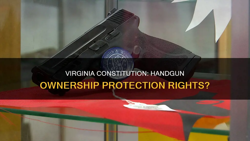does virginia constitution protect handgun ownership