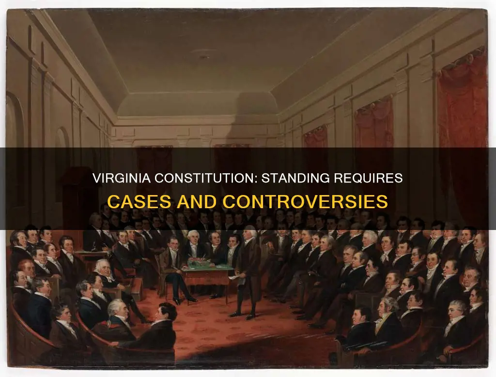 does virginia constitution require cases and controversies for standing