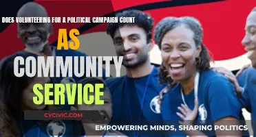Volunteering for Political Campaigns: Community Service or Not?