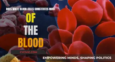 Understanding White Blood Cells in Our Blood