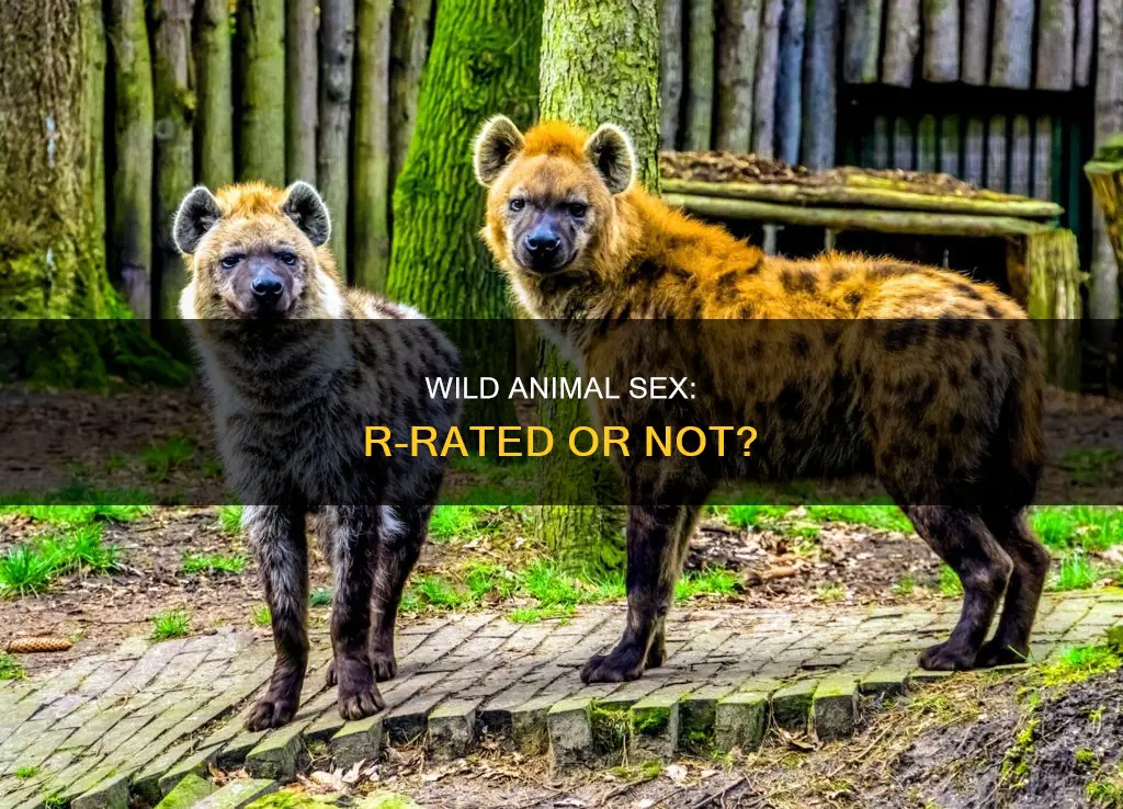does wild animal sex constitute an r rating
