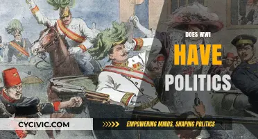 The Political Underpinnings of World War I: A Comprehensive Analysis