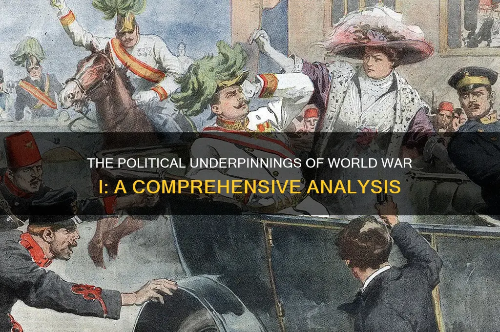does wwi have politics