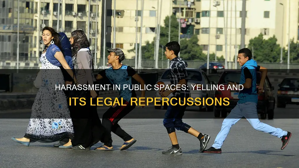 does yelling at me in public constitute harassment