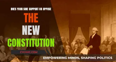 New Constitution: Support or Opposition?