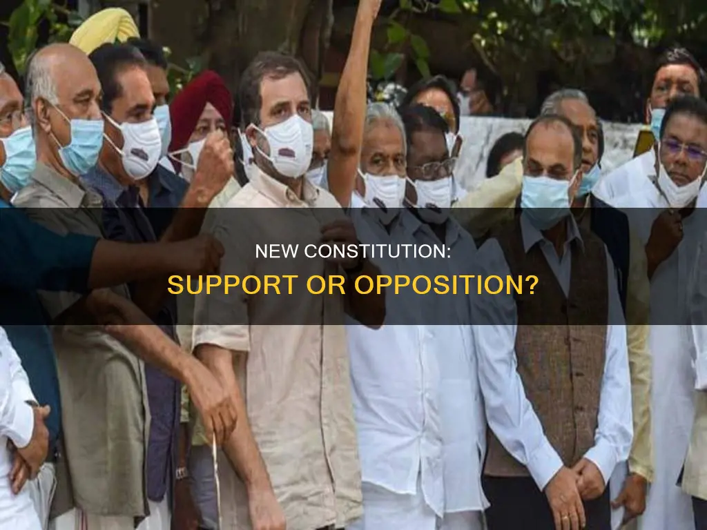 does your side support or oppose the new constitution