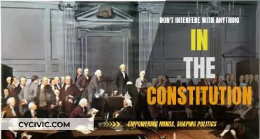 Protect Our Constitution: No Interference, Please!