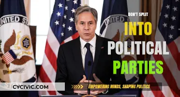 United We Stand: Why Political Party Divisions Harm Our Democracy