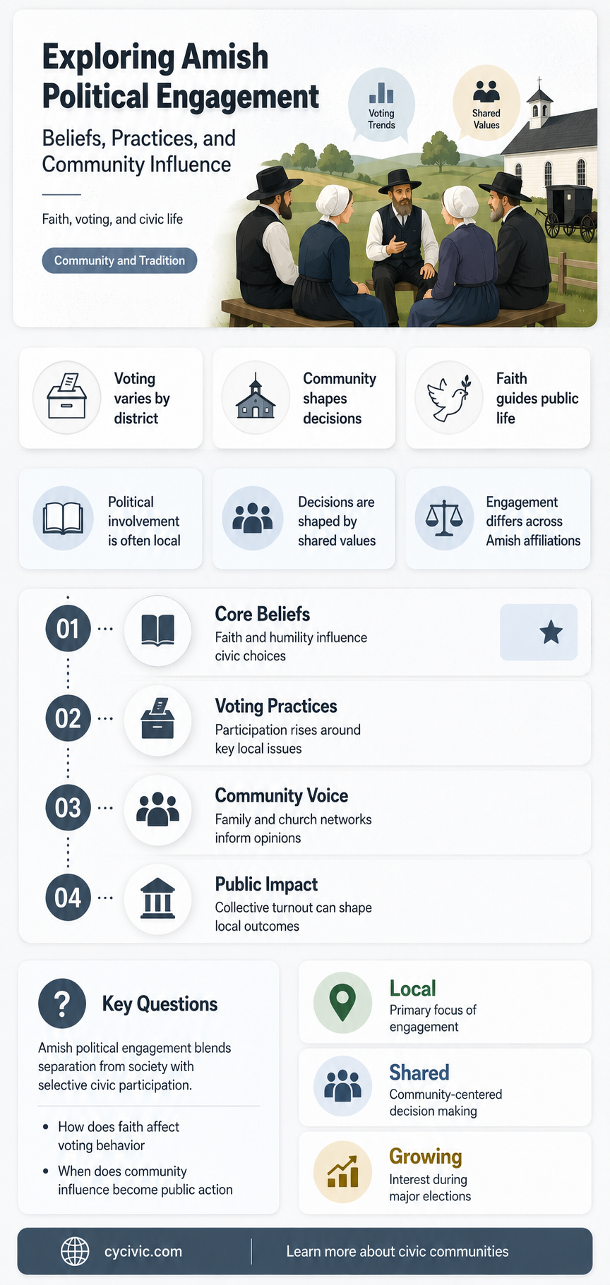 are the amish political