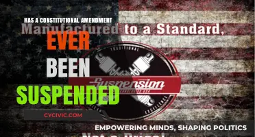 The Great Suspension: Constitutional Amendments in Flux