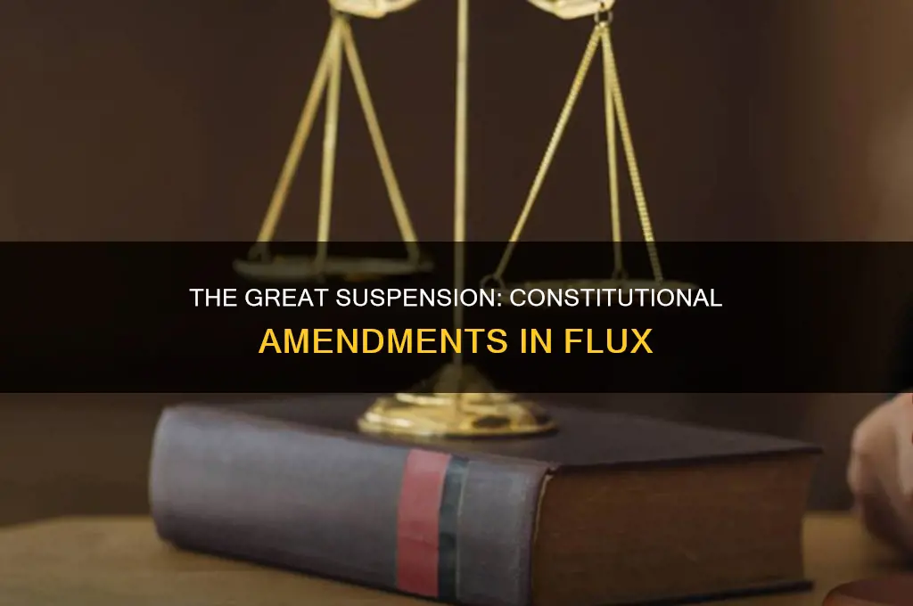 has a constitutional amendment ever been suspended