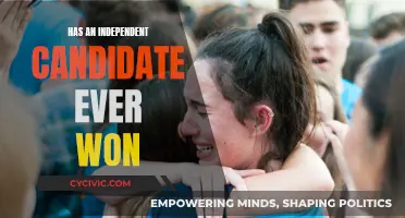 Independent Candidates: Can They Win Elections?