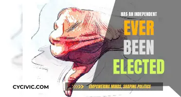 Independents' Electoral Success: Has It Ever Happened?