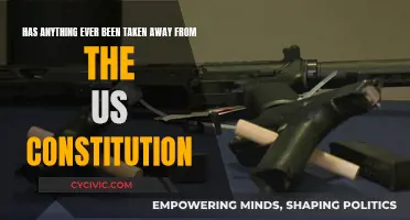 What's Missing from the US Constitution?