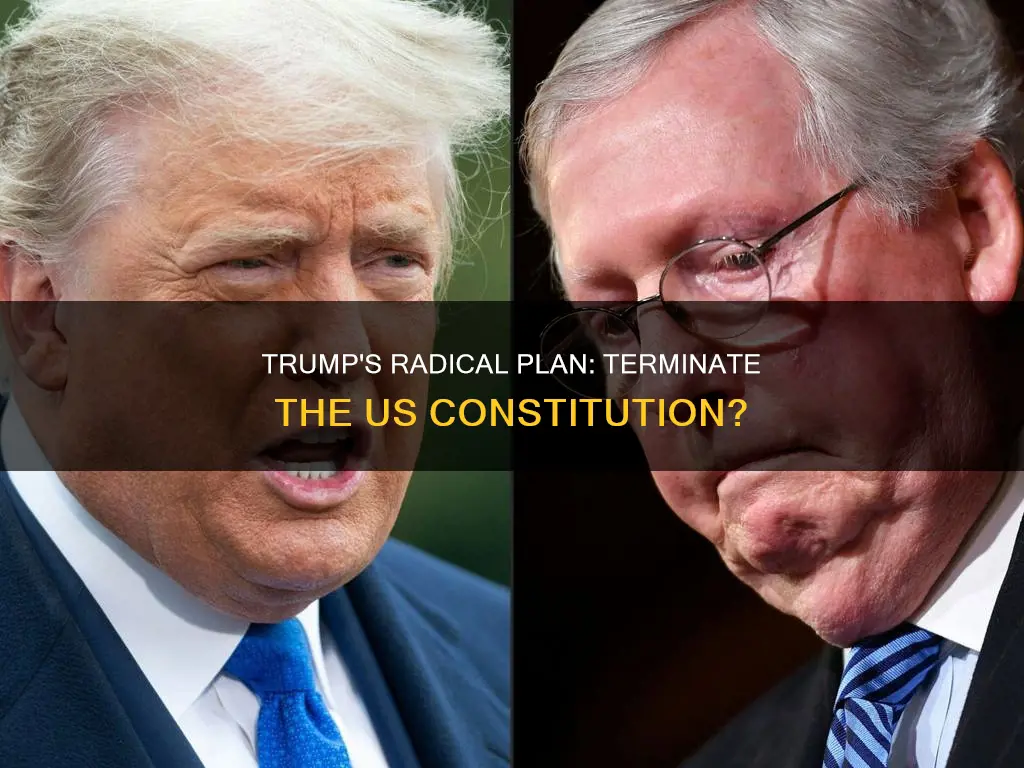 has donald trump ever said he would terminate the constitution