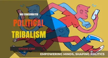 Social Media's Role in Deepening Political Tribalism and Polarization