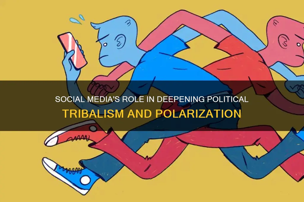 has exacerbated political tribalism