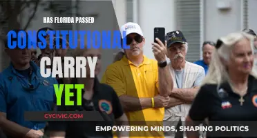 Florida's Constitutional Carry: What's the Latest?