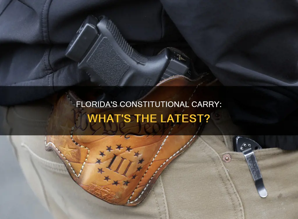 has florida passed constitutional carry yet