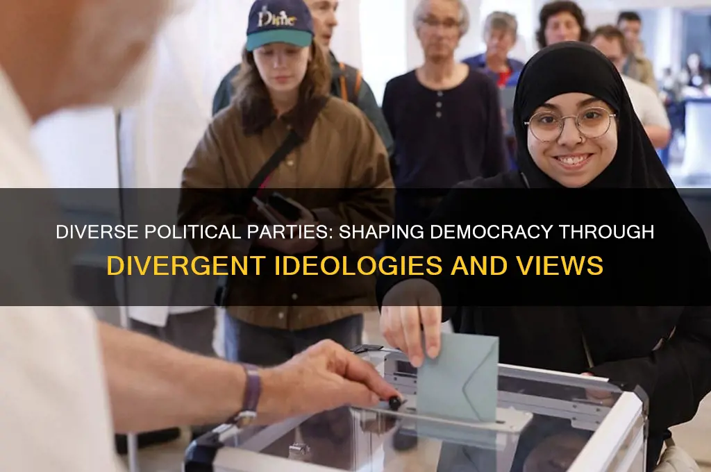 has had strong political parties representing divergent points of view