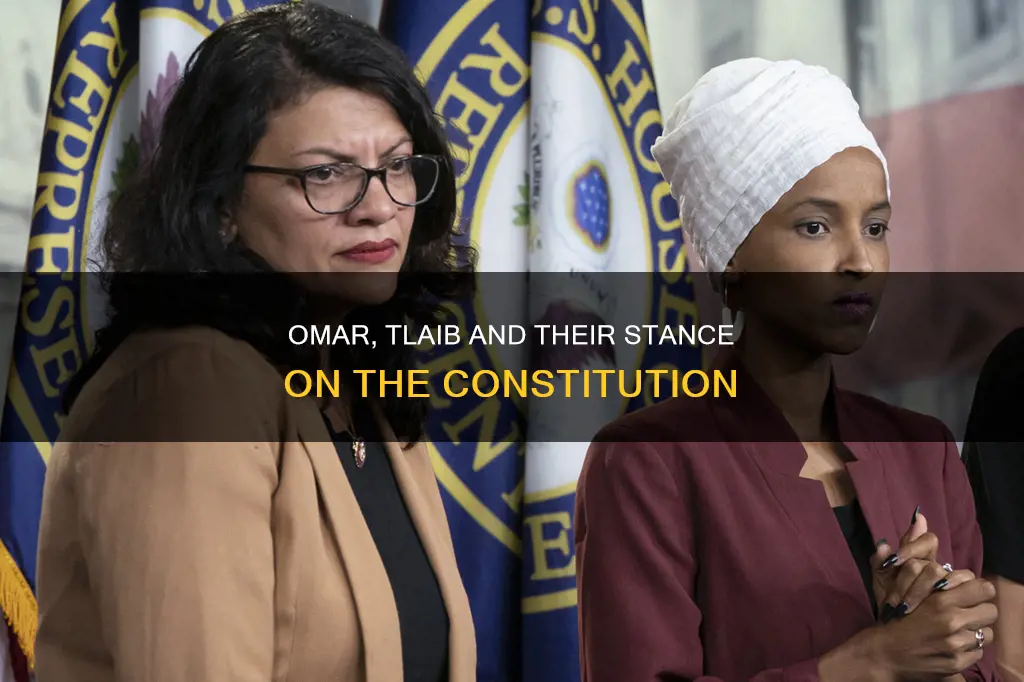 has omar or tlaib said they are against the constitution