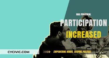 Has Political Participation Increased? Analyzing Trends in Civic Engagement