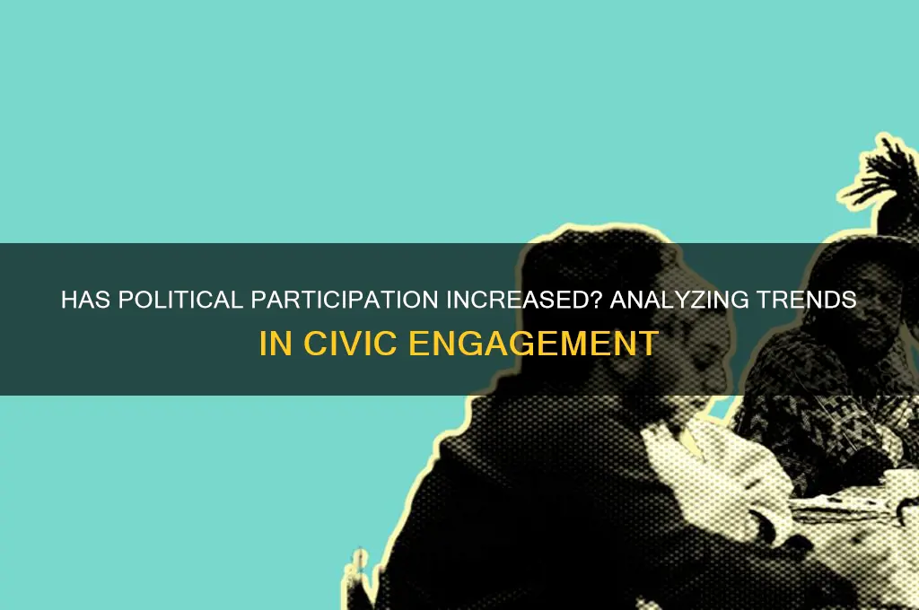 has political participation increased